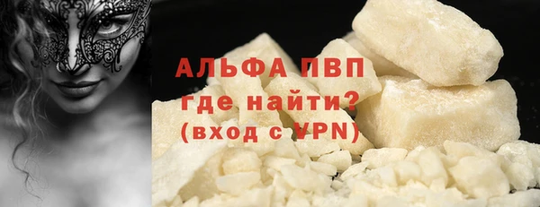 прущие грибы Вяземский