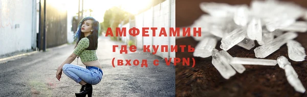 прущие грибы Вяземский