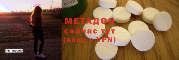 прущие грибы Вяземский