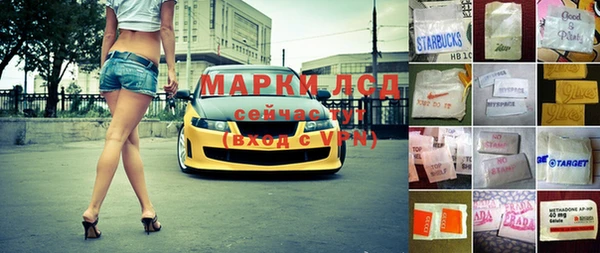 прущие грибы Вяземский