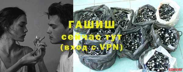 прущие грибы Вяземский