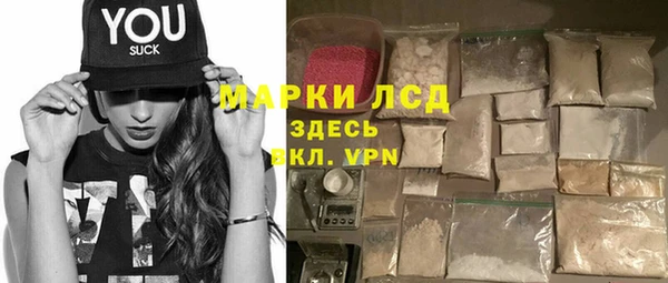 прущие грибы Вяземский