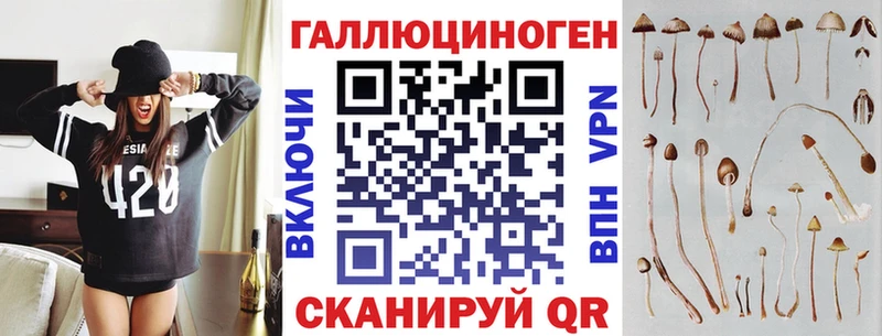 Купить  Боровск  Галлюциногенные грибы Psilocybe 