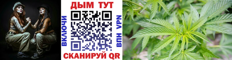 Каннабис SATIVA & INDICA Купить закладки Боровск